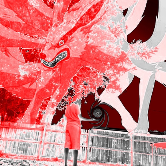 Meet your Posher, Logan - Picture 1 of 1